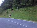 Leg 3 (24)